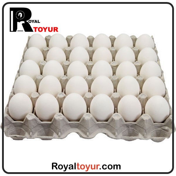 صادرات تخم مرغ خوراکی 
